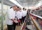 Menko Pangan Apresiasi PNM dalam Perkuat Ketahanan Pangan Desa