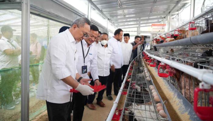 Menko Pangan Apresiasi PNM dalam Perkuat Ketahanan Pangan Desa