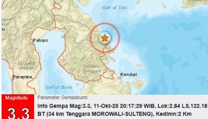 Morowali Diguncang Gempa Dangkal Magnitudo 3,3