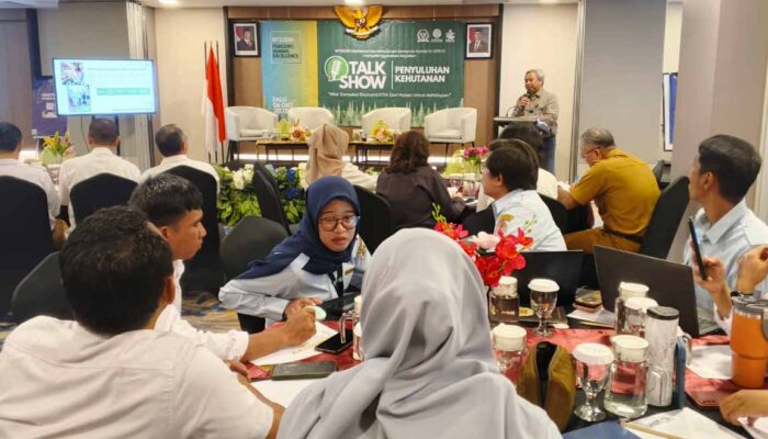 Nilai Transaksi Hasil Hutan Sulteng Tembus Rp20 Miliar