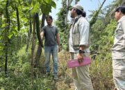 IMIP Berdayakan Warga Lingkar Industri Lewat Program Hortikultura