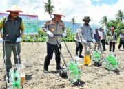 Polda Sulteng Targetkan Panen 7.458 Ton Jagung
