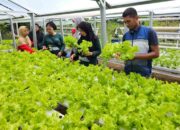 Pertamina Sulawesi Dukung Ekonomi Perempuan Desa di Maros