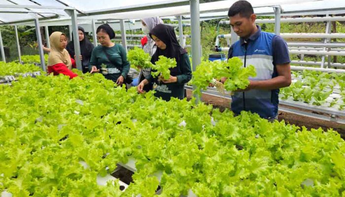 Pertamina Sulawesi Dukung Ekonomi Perempuan Desa di Maros