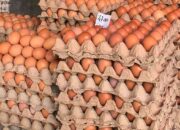 Kenaikan Harga Telur di Palu Diprediksi Hingga Menjelang Nataru