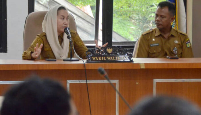 Pemerintah Dorong Pengembangan UMKM Berbasis Wisata di Elevated Road Palu