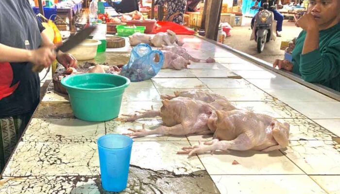 Menjelang Nataru, Harga Ayam Potong di Palu Naik Signifikan