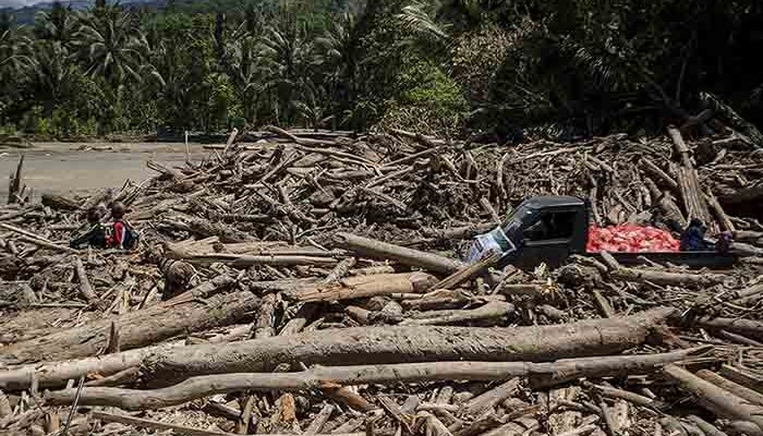 Masyarakat Aceh-Sumatra Bisa Manfaatkan Kayu Hanyutan Banjir untuk Rehabilitasi
