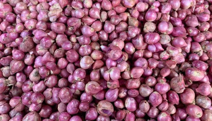 Bawang Merah Mahal, Pedagang: Setiap Akhir Tahun Selalu Naik