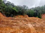 Hutan Lindung di Tombolopao, Gowa Lenyap Puluhan Hektare