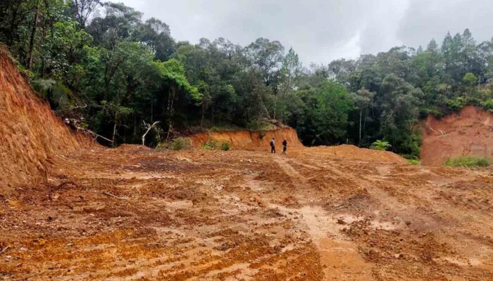 Hutan Lindung di Tombolopao, Gowa Lenyap Puluhan Hektare