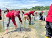 Pertamina Tanam 1.000 Mangrove di Kendari untuk Perkuat Pesisir