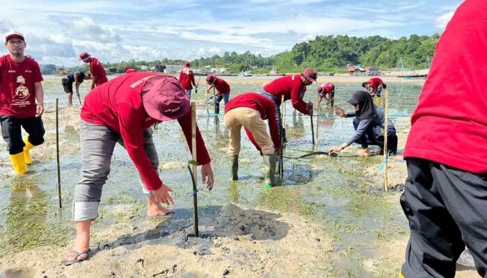 Pertamina Tanam 1.000 Mangrove di Kendari untuk Perkuat Pesisir