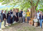 Pemkot Palu Pantau Pertanian Tomat dan Cabai Jelang Nataru