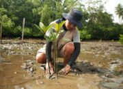 PT IMIP Borong Tiga Penghargaan di Akhir Tahun 2025