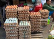 Harga Telur di Palu Meroket Menjelang Nataru 2025
