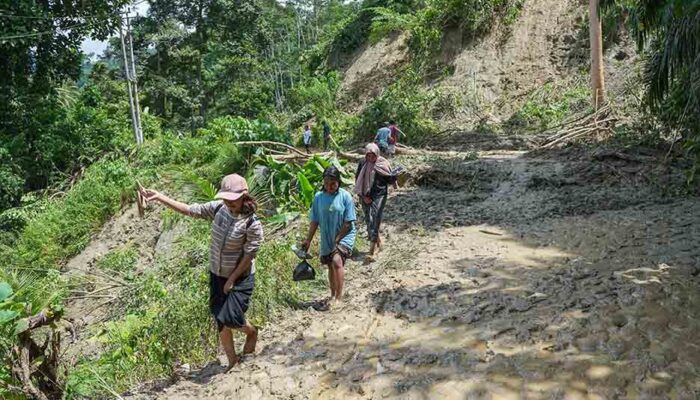 Pemprov Sulteng Kerahkan Alat Berat dan Posko Darurat Bencana di Donggala
