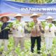 Ditjenpas Sulteng Panen Raya Hasil Perkebunan, Dukung Ketahanan Pangan Nasional