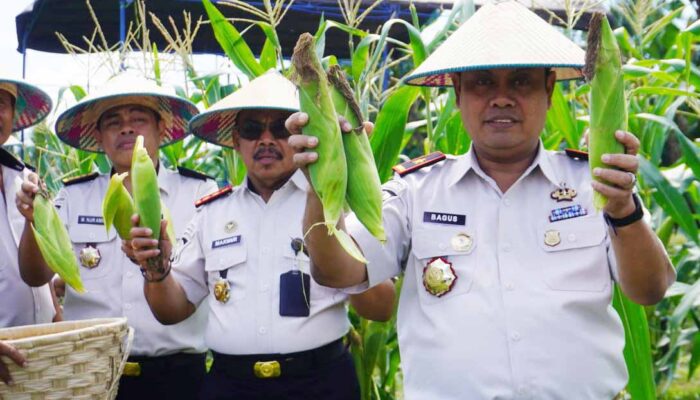 Hasil Penjualan Panen Raya Pemasyarakatan Dukung Korban Bencana Sumatra