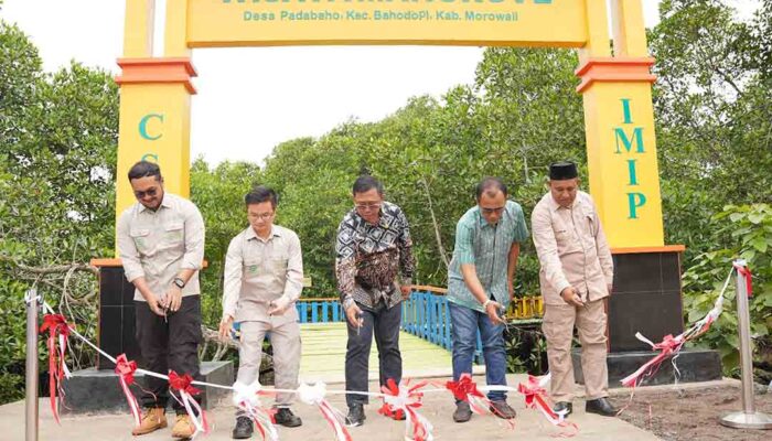 Dari Mangrove ke Ekonomi Desa, Padabaho Bangun Wisata Berkelanjutan