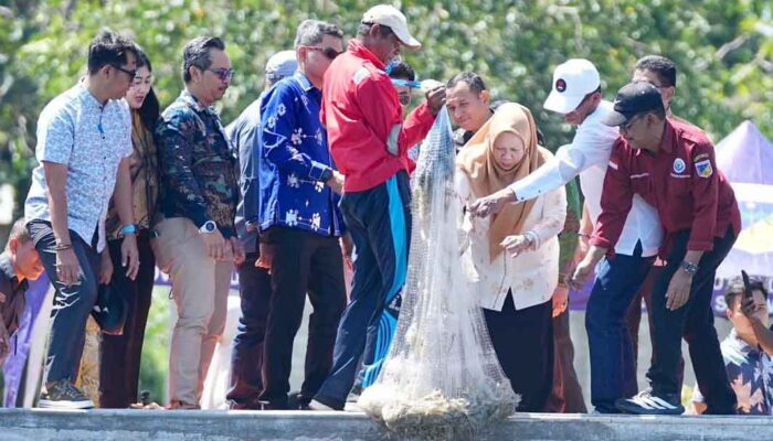 Program Berani Tangkap Banyak Perkuat Hilirisasi Budidaya Udang Vaname