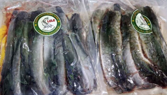 Lele Beku Kodam XX/III Palaka Wira Siap Tembus Pasar Modern