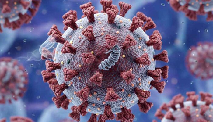 Waspada Virus Nipah: Penularan dari Hewan hingga Antarmanusia