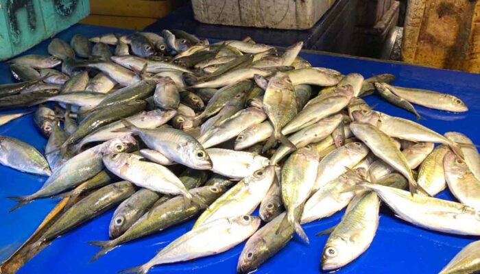 Pasokan Bertambah, Harga Ikan di Palu Berangsur Turun