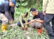 Pohon Ditanam, Pemkab Parimo Redam Risiko Perubahan Iklim