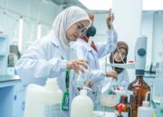 Lingkungan Kerja Inklusif, IMIP Prioritaskan Kesetaraan Gender