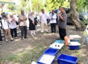 DPKP Kota Palu Dorong Pertanian Modern Lewat Pelatihan Hidroponik