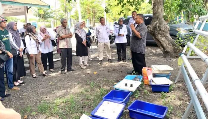 DPKP Kota Palu Dorong Pertanian Modern Lewat Pelatihan Hidroponik
