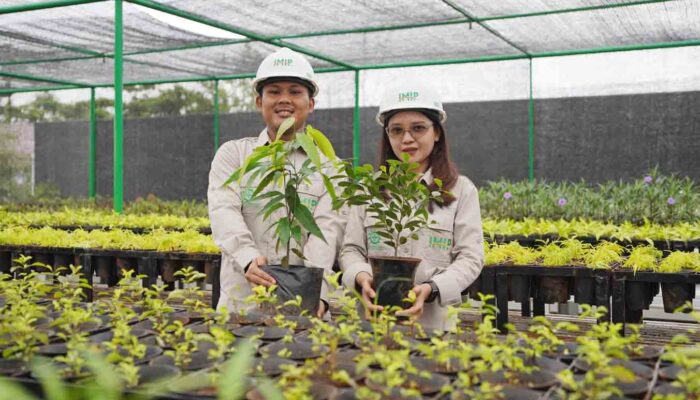 Lomba RTH Jadi Upaya IMIP Tingkatkan Kepedulian Lingkungan di Kawasan Industri