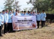 Iduladha 2026, FKUB Sulteng Tunjukkan Toleransi Lewat Kurban Bersama