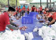 DKM IMIP Salurkan 1.800 Paket Daging Kurban di Kawasan Industri Morowali