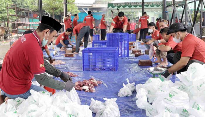 DKM IMIP Salurkan 1.800 Paket Daging Kurban di Kawasan Industri Morowali