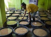 Pengusaha Tahu di Palu Tahan Kenaikan Harga Meski Biaya Produksi Membengkak