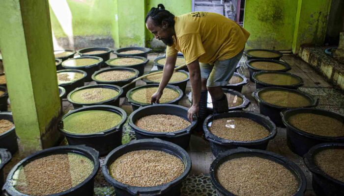 Pengusaha Tahu di Palu Tahan Kenaikan Harga Meski Biaya Produksi Membengkak