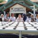 Dorong Urban Farming, DPKP Palu Gelar Pelatihan Budidaya Hidroganik