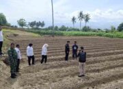 Pemkot Palu Targetkan Kelurahan Menanam Raih Keuntungan