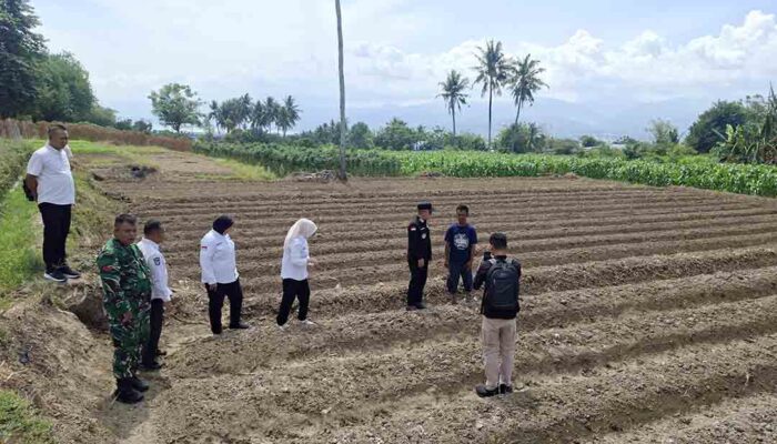 Pemkot Palu Targetkan Kelurahan Menanam Raih Keuntungan