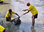 Dukung Ketahanan Pangan, Lapas Parigi Panen Puluhan Kilo Ikan