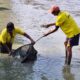 Dukung Ketahanan Pangan, Lapas Parigi Panen Puluhan Kilo Ikan