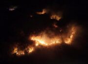 Diduga Akibat Puntung Rokok, 100 Hektare Lahan di Banggai Terbakar