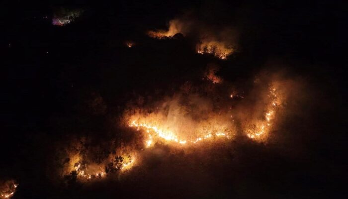 Diduga Akibat Puntung Rokok, 100 Hektare Lahan di Banggai Terbakar
