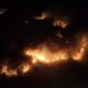Diduga Akibat Puntung Rokok, 100 Hektare Lahan di Banggai Terbakar