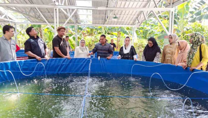 Pemkot-DPRD Palu Dorong Ketahanan Pangan Lewat Bantuan Kolam Ikan Bioflok