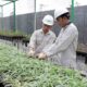 Dorong Dekarbonisasi Industri, PT IMIP Tingkatkan Kapasitas Pembibitan Tanaman