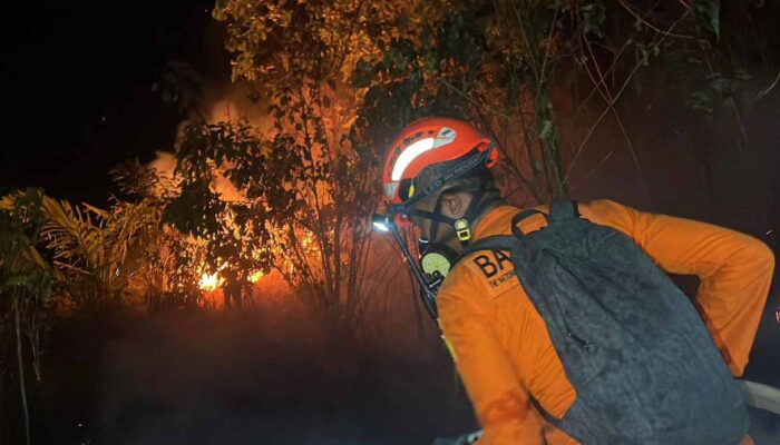 Tim Gabungan Berjibaku Padamkan Karhutla di Sibualong, Donggala