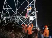 Percobaan Bunuh Diri Perempuan 16 Tahun di Atas Tower PLN Silae Digagalkan Basarnas